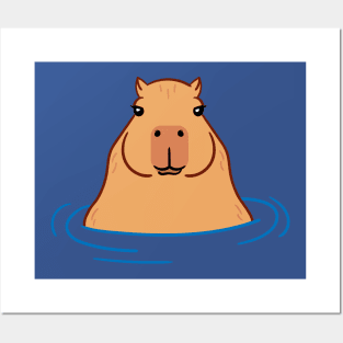 Capybara water Posters and Art